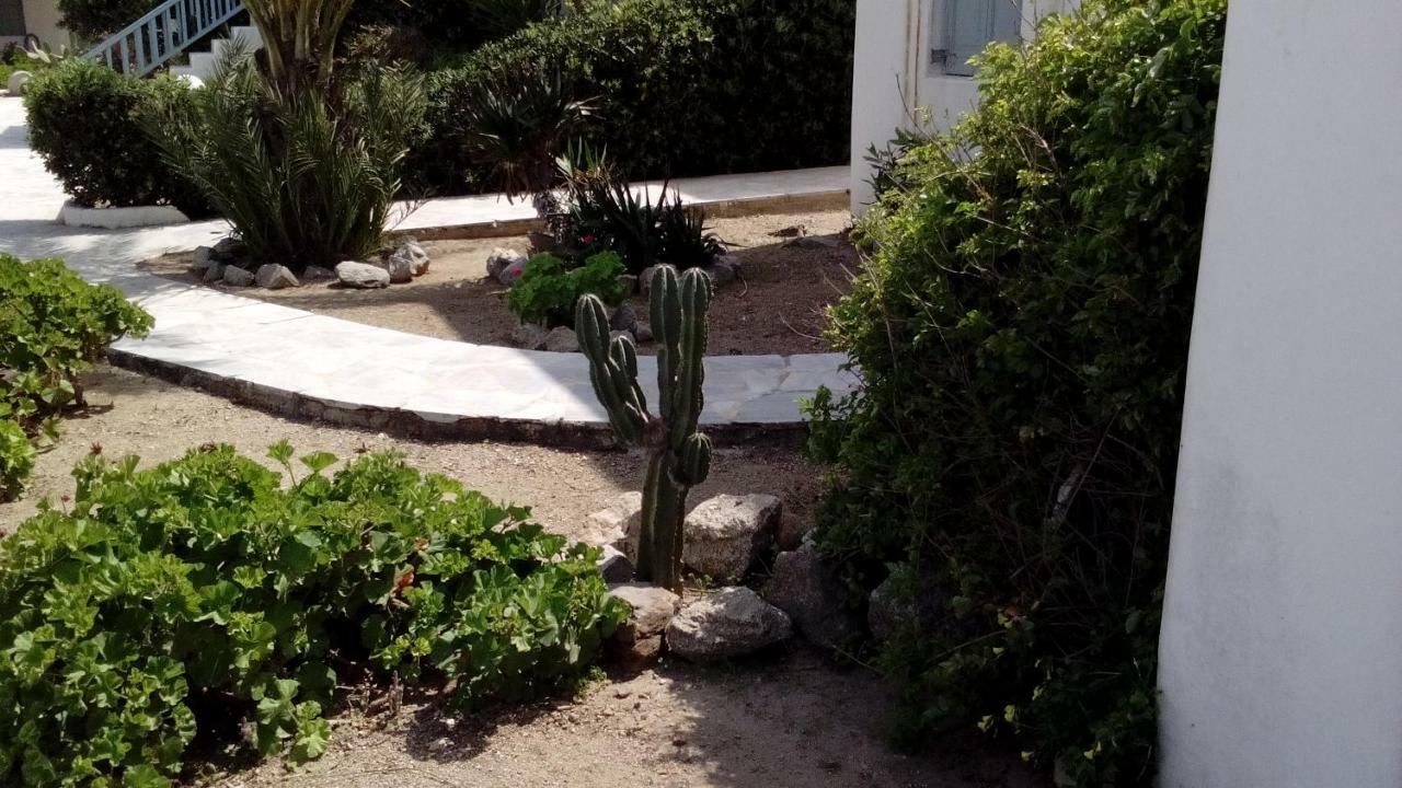Mykonian Aroma House Daire Ornos  Dış mekan fotoğraf